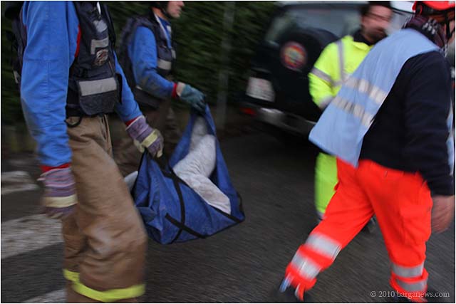 IMG 2350 – 24 November 2010