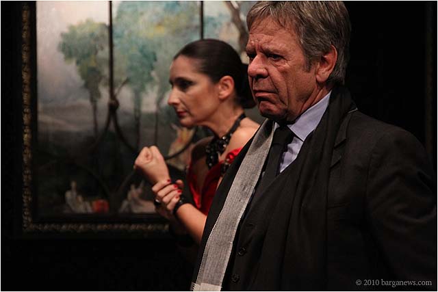 the dinner party in barga