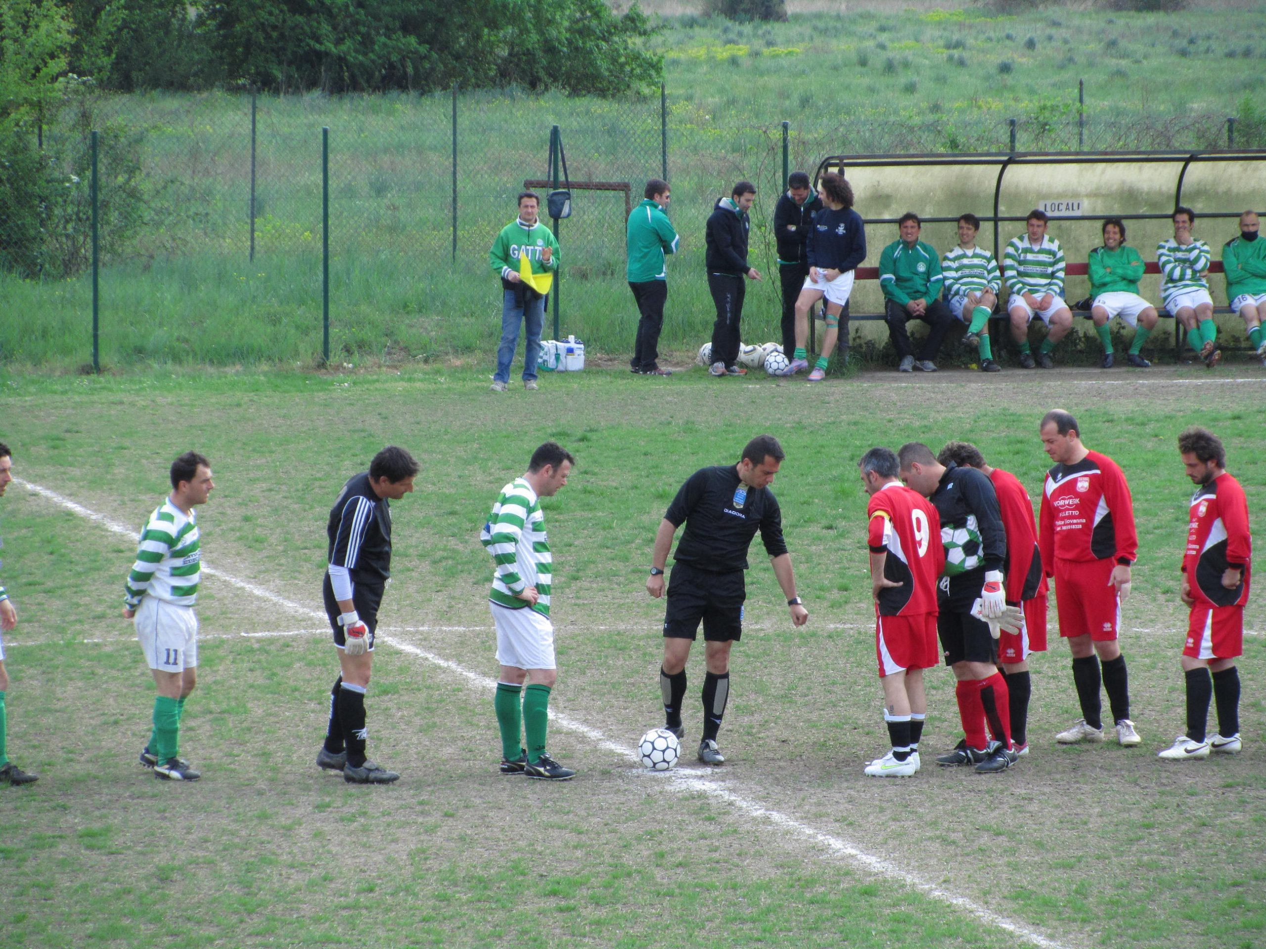 I Gatti imbattuti in casa