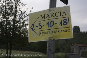 marcia sp campo