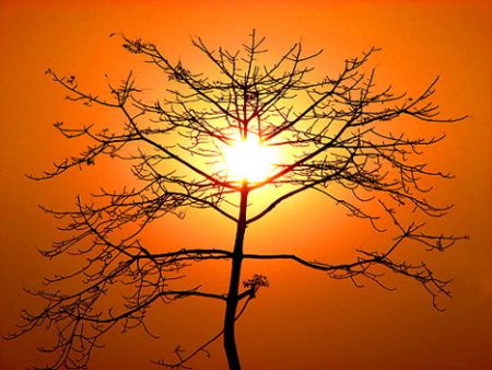 Il sole dominerà nel week end