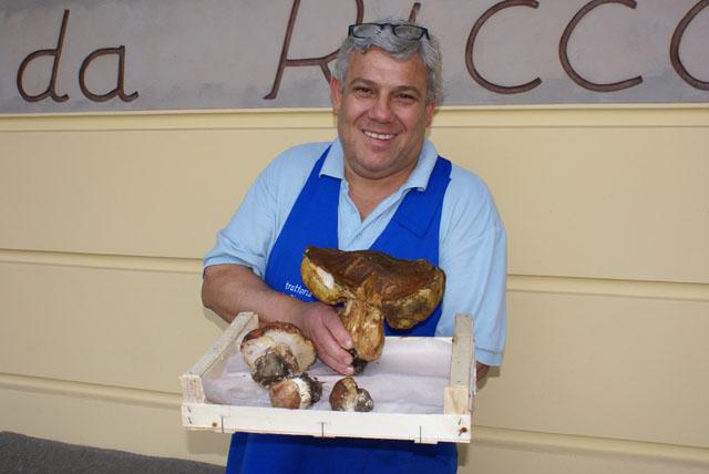 Funghi: tutto quello che c’è da sapere sulle nuove regole