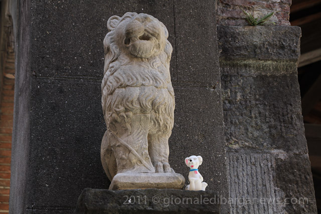 Barga Daily Image – 21 June 2011