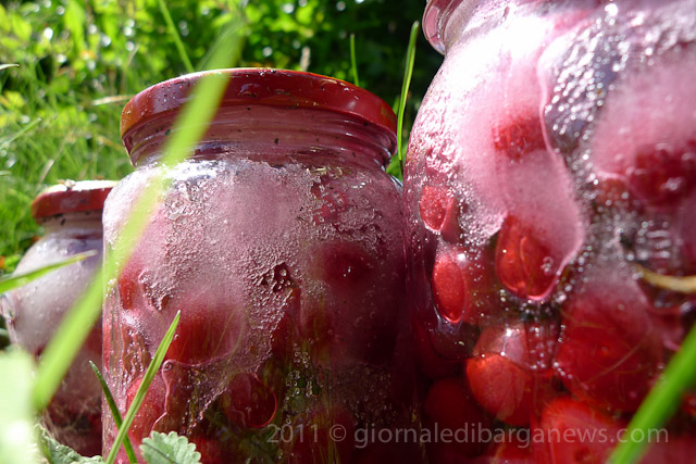 Barga Daily Image – 19 June 2011