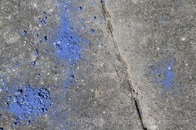 Barga Daily Image – 1 July 2011