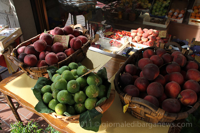 Barga Daily Image – 4 July 2011