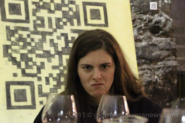 Barga Daily Image – 26 July 2011