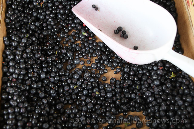 Barga Daily Image – 27 July 2011