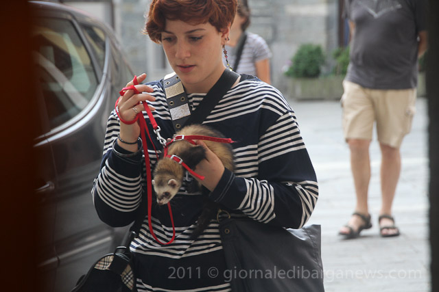 Barga Daily Image – 29 July 2011