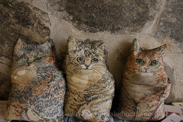 Barga Daily Image – 18 August 2011