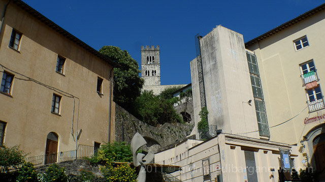 Barga Daily Image – 10 August 2011