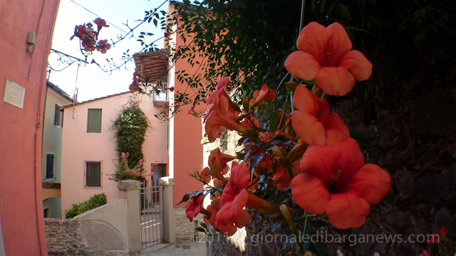 Barga Daily Image – 10 August 2011