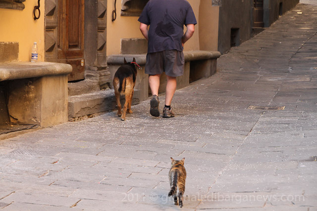 Barga Daily Image – 20 August 2011