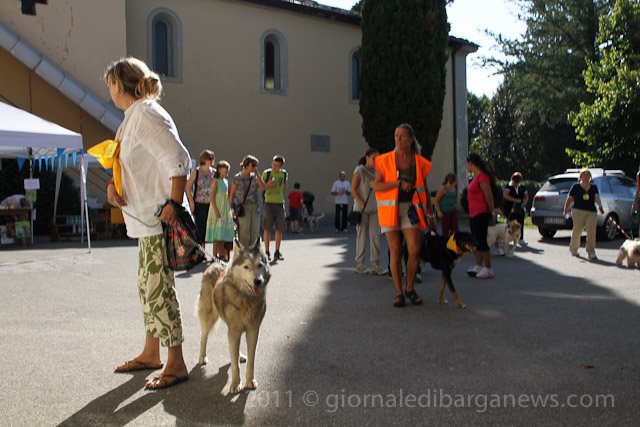 1st Barga dog walk