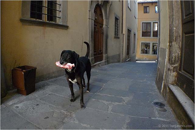 Barga Daily Image – 3 August 2011