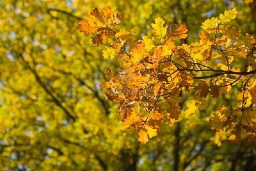 Torna il sole ma l’autunno incombe…