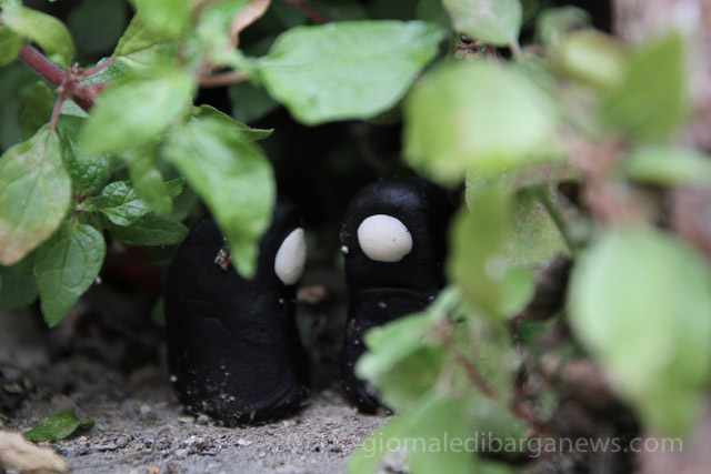 Barga Daily Image – 4 September 2011