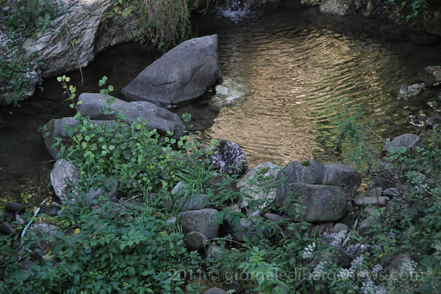 Barga Daily Image – 21 September 2011