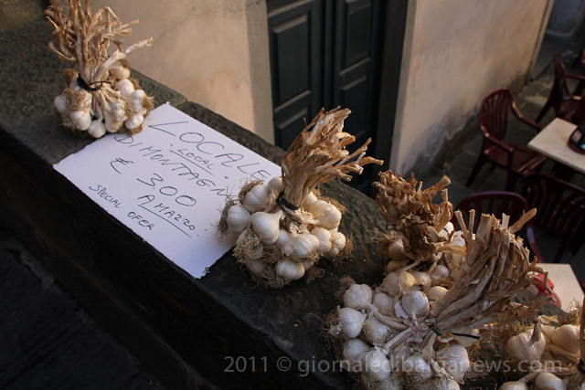 Barga Daily Image – 27 September 2011