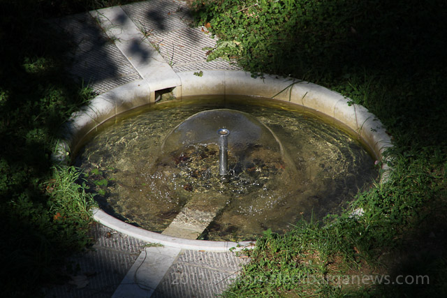 Barga Daily Image – 5 October 2011