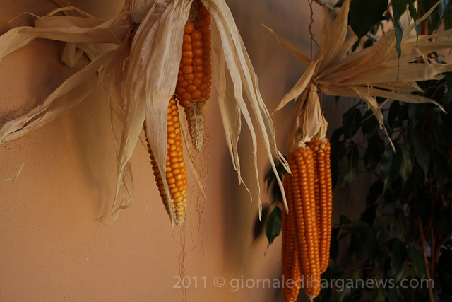 Barga Daily Image – 6 October 2011