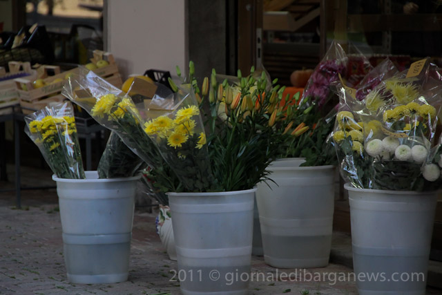 Barga Daily Image – 29 October 2011