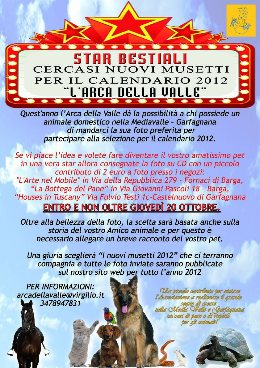 Star Bestiali – cercasi nuovi musetti
