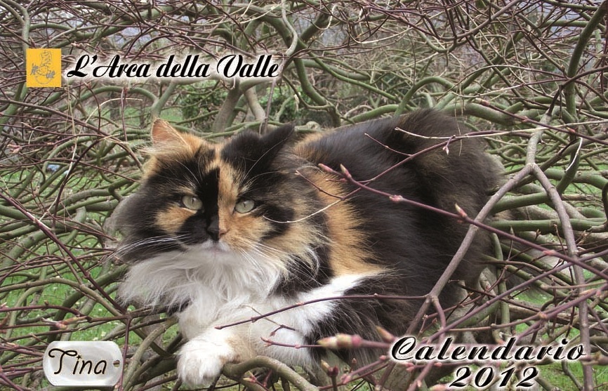 Il nuovo calendario dell’Arca della Valle