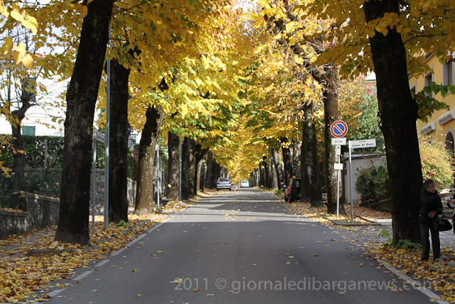 Barga Daily Image – 3 November 2011