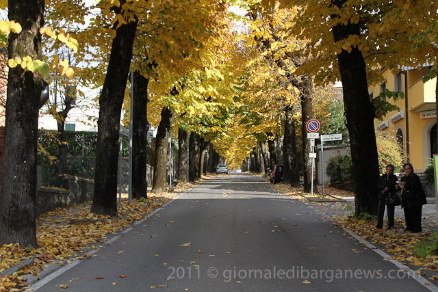 Barga Daily Image – 3 November 2011