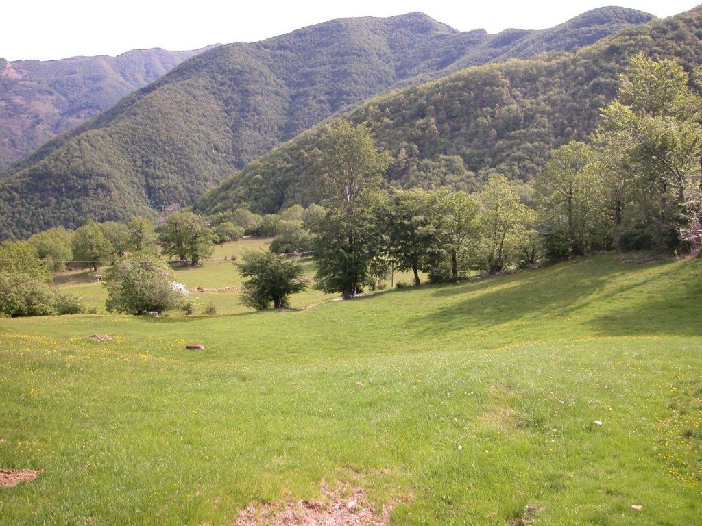Arriva un bando della Regione Toscana per la riqualificazione del paesaggio