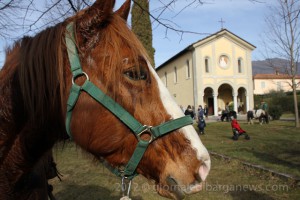 images from daily life in barga