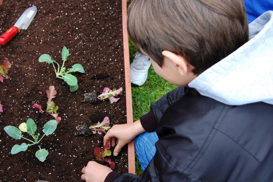 Primavera… tempo di orti, anche nelle scuole