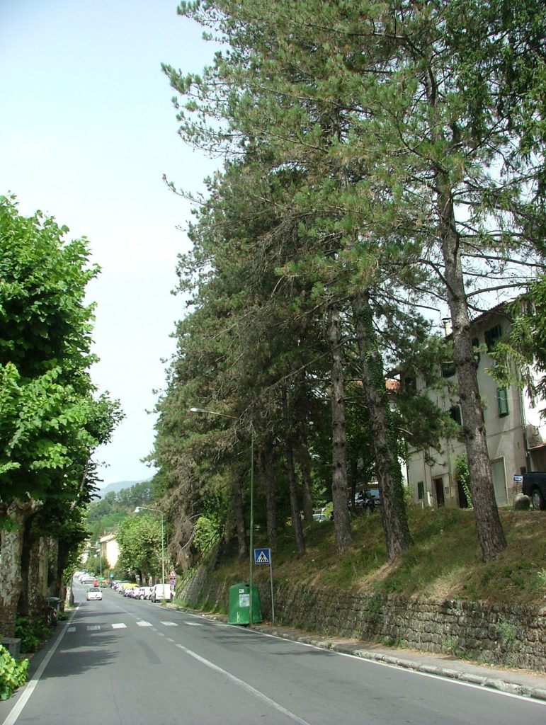 Novità nella viabilità in via della Stazione a Castelnuovo
