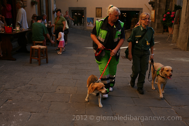 Cinque cani avvelenati, la notizia è ufficiale