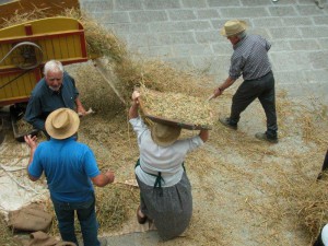 trebbiatura_2008-203