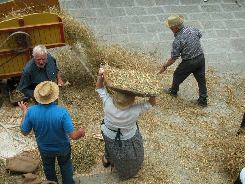 Una domenica speciale a Sillico