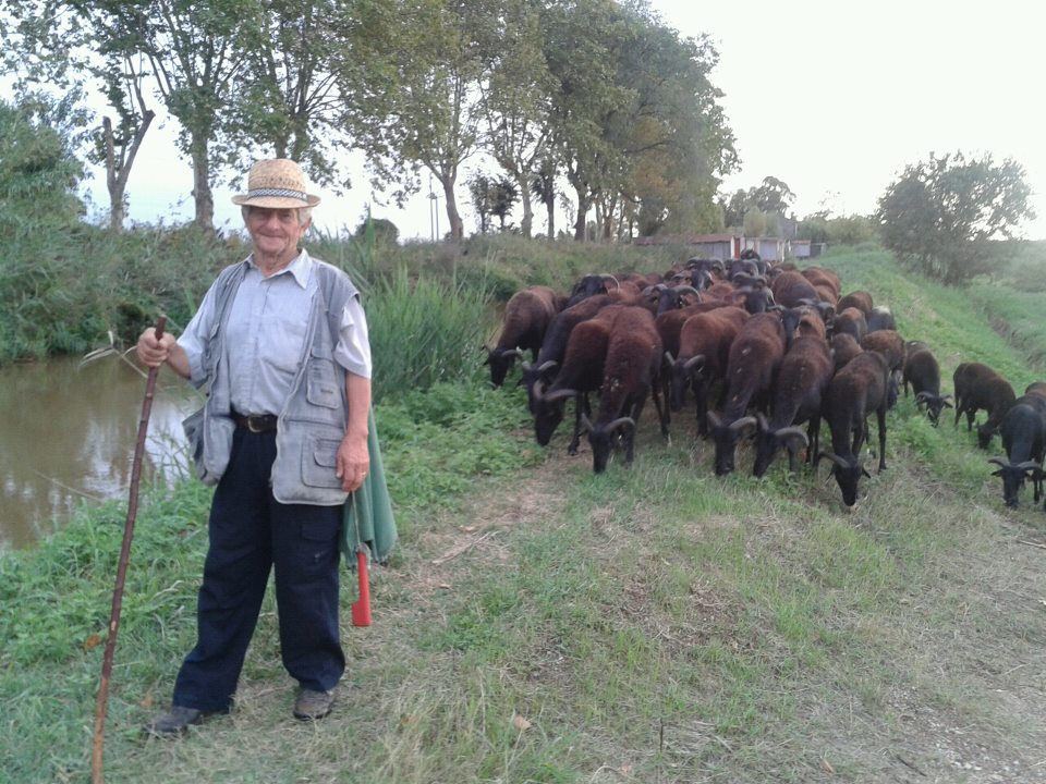 Arriva l’Expo Rurale