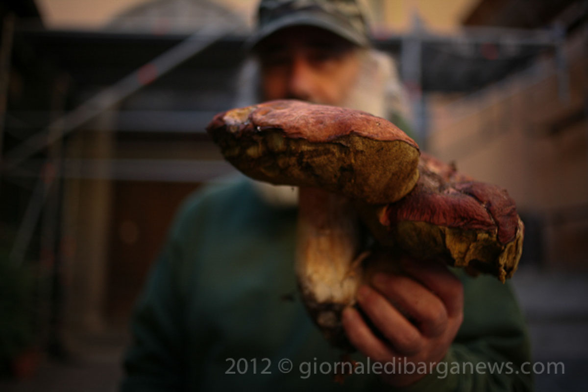 Barga Daily Image – 20 September 2012