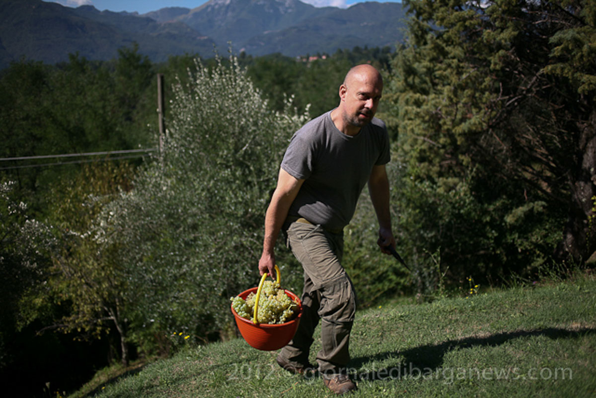 Barga Daily Image – 16 September 2012