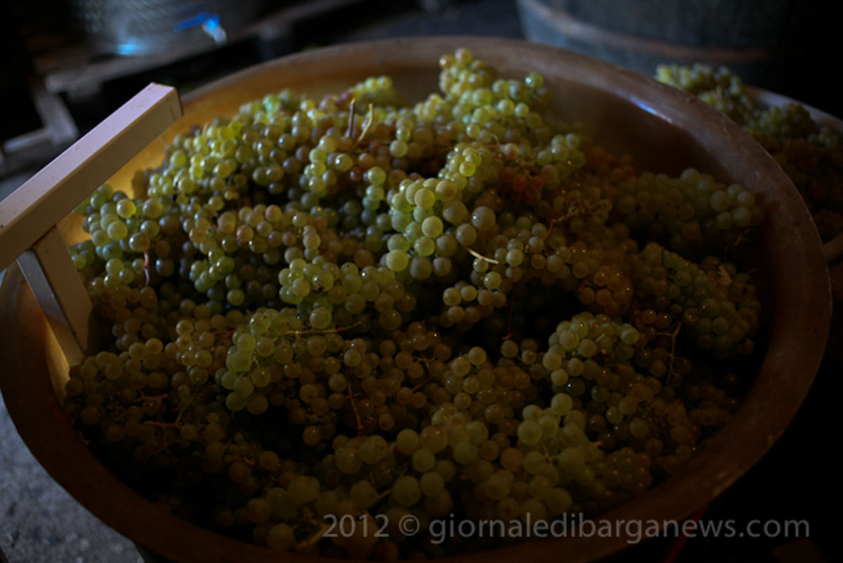 Barga Daily Image – 16 September 2012