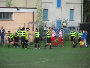 MS Quirico-Gatti Randagi