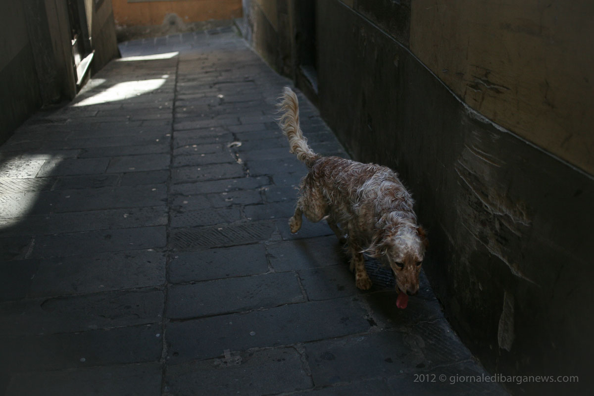 Barga Daily Image – 20 October 2012