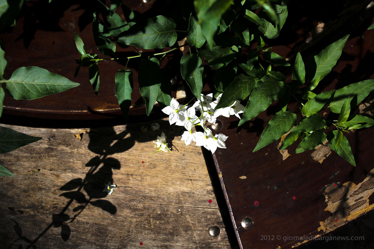 Barga Daily Image – 18 October 2012