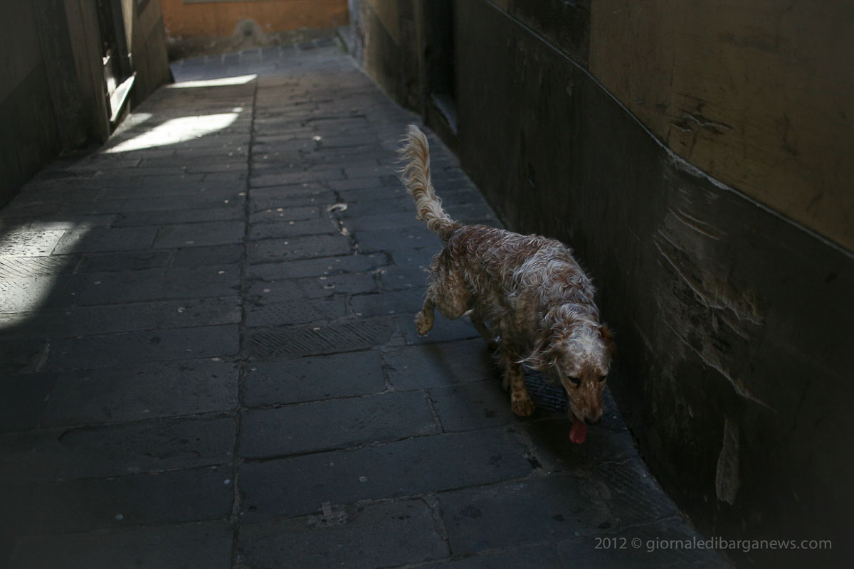 Barga Daily Image – 20 October 2012