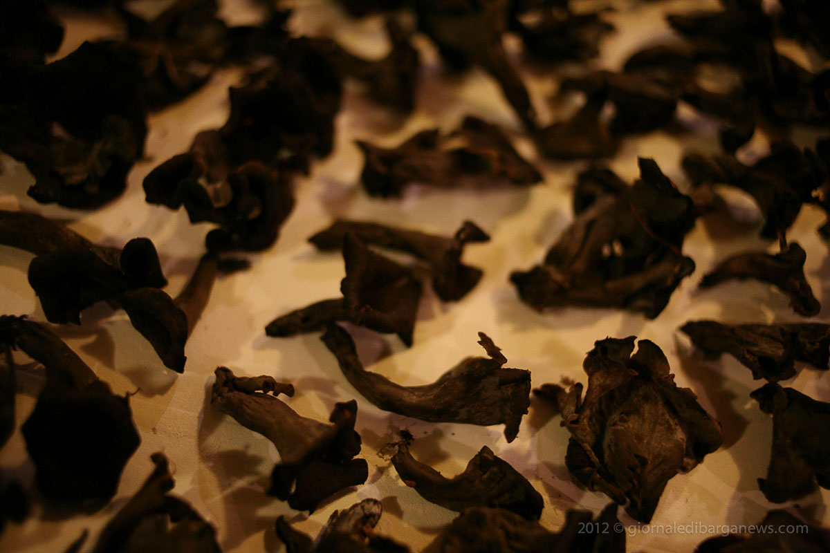 Barga Daily Image – 9 October 2012