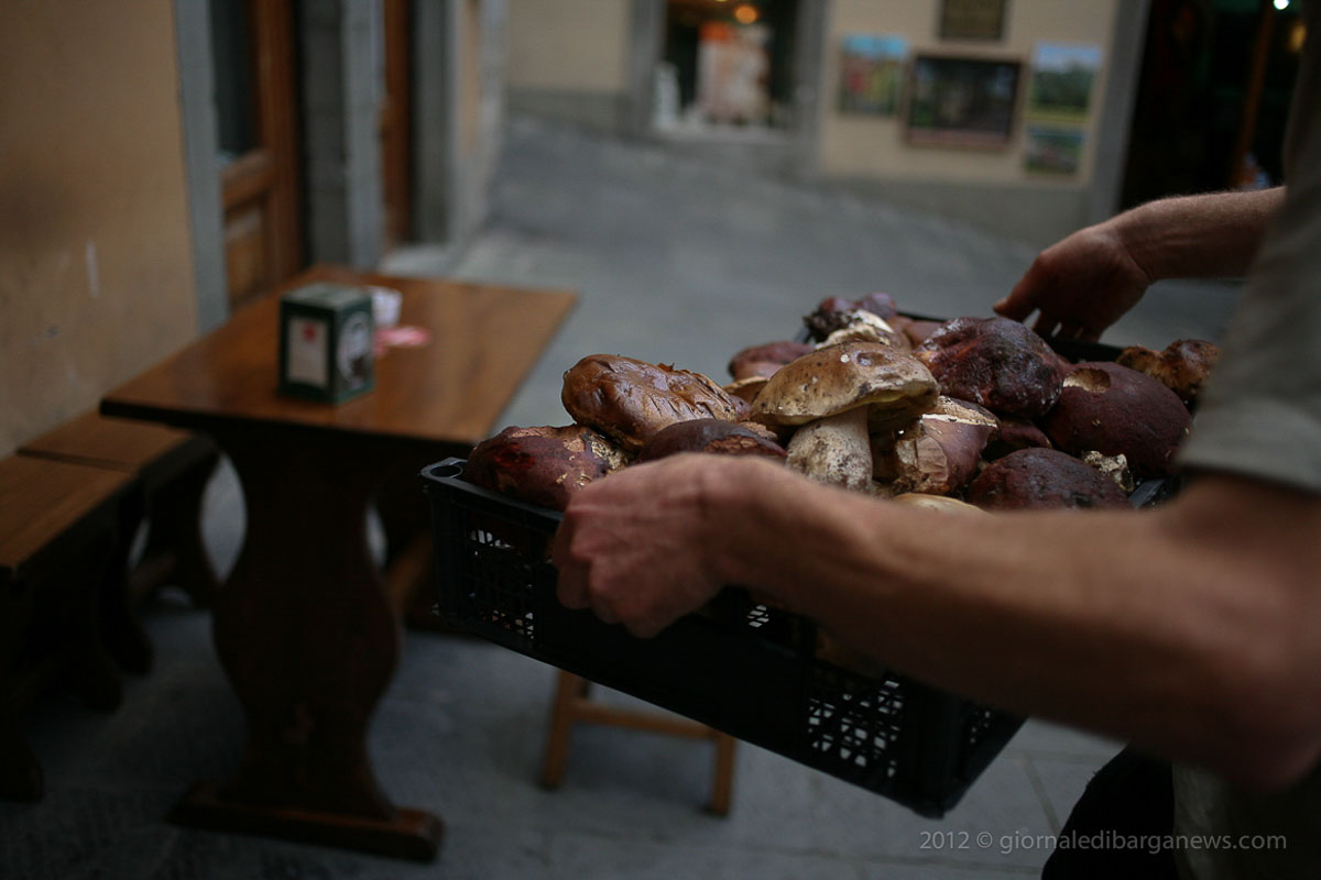 Barga Daily Image – 9 October 2012