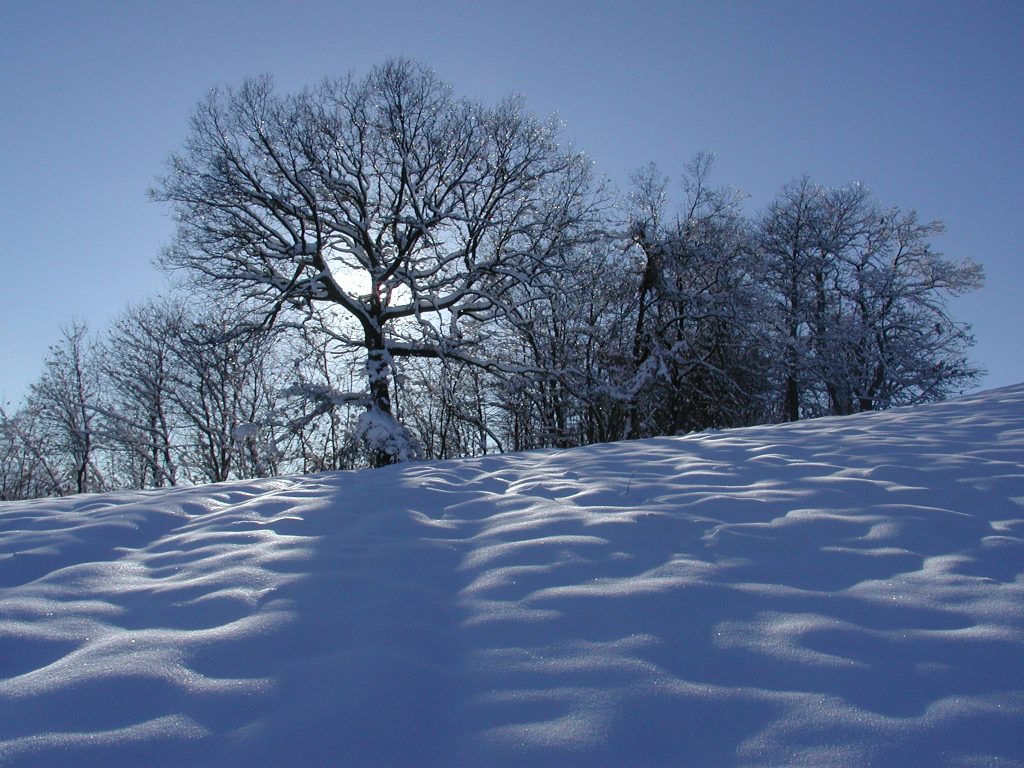 Giovedì possibili nevicate poi temperature in aumento e forti piogge