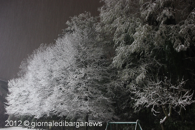 Nevica