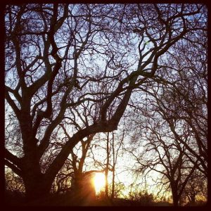 foto alessio barsotti